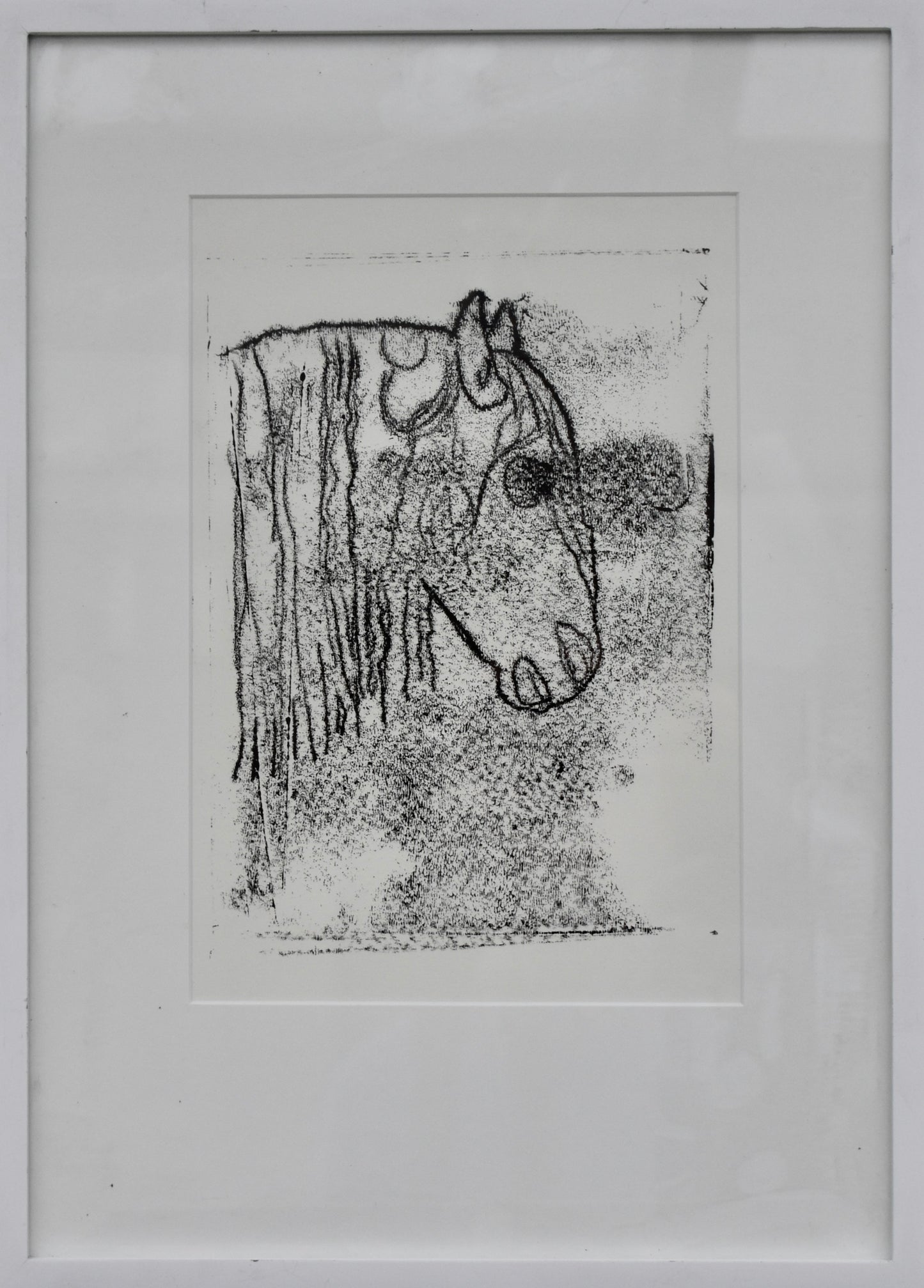 De Nutte Gunter - Paard °94