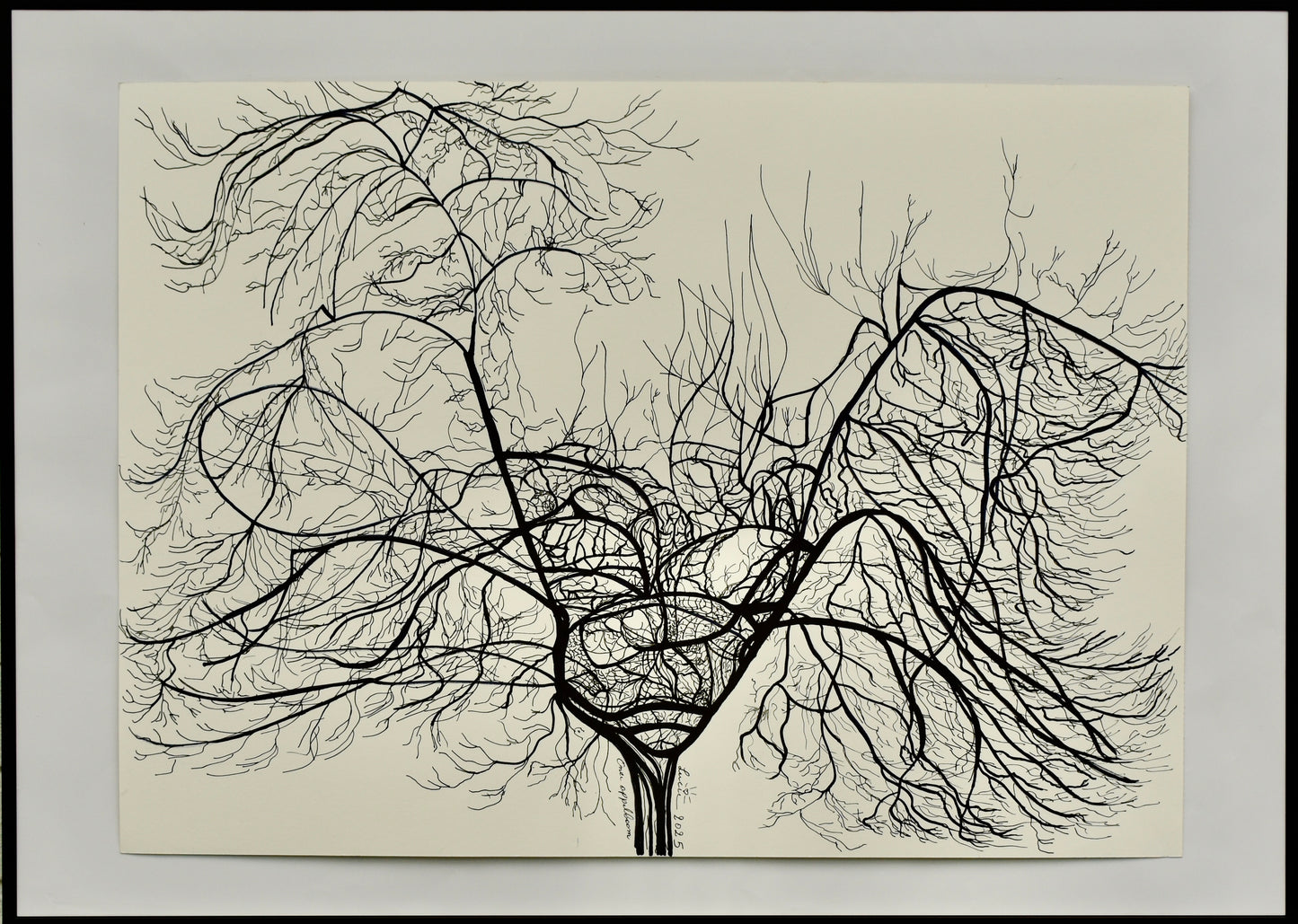 Breesch Lucie - Onze boom °191
