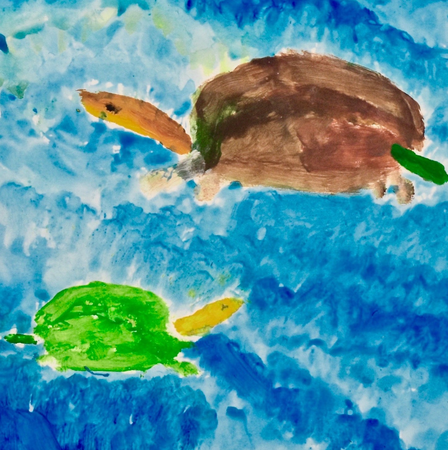 Vindevogel George- Schildpadden
