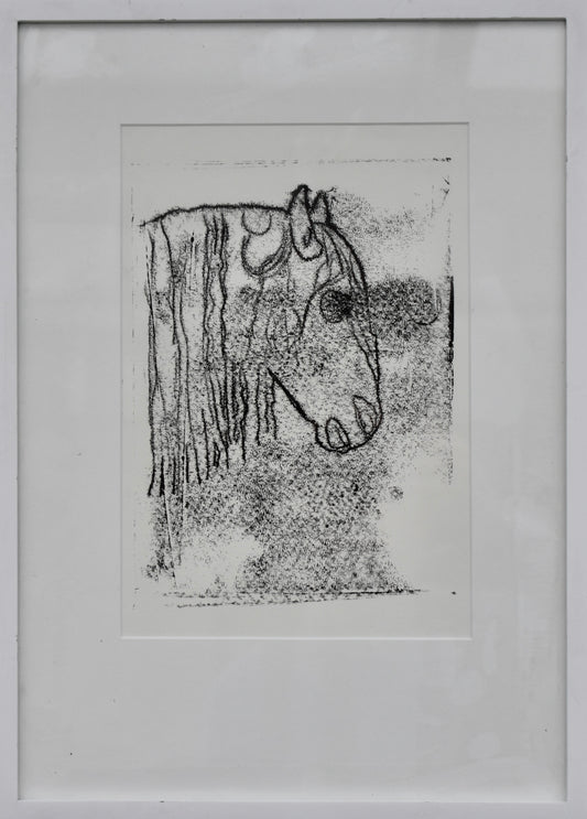 De Nutte Gunter - Paard °94