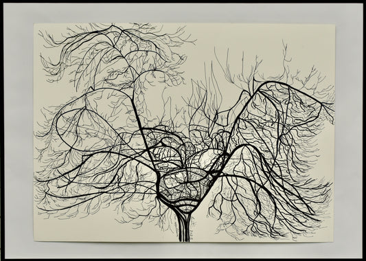 Breesch Lucie - Onze boom °191