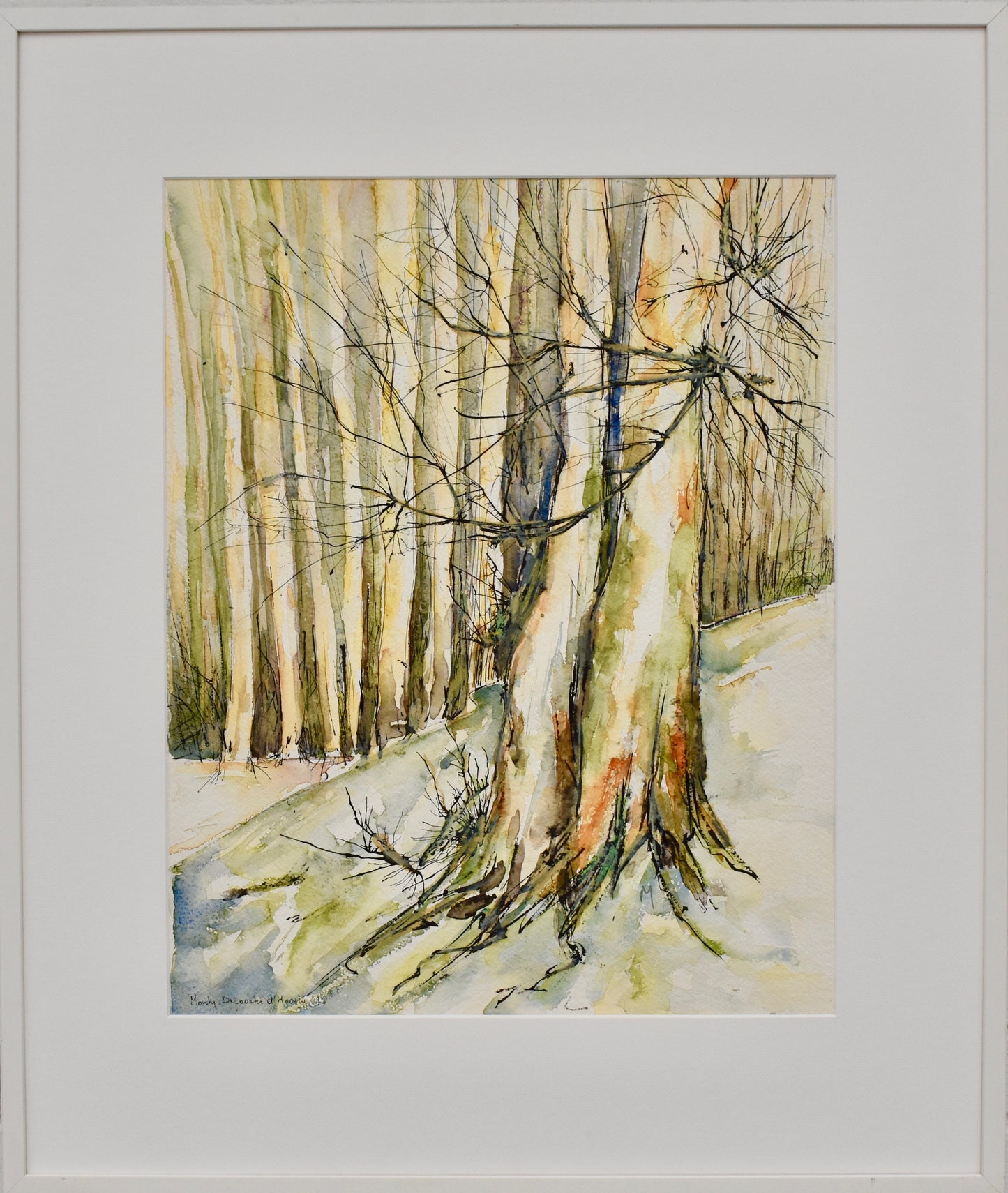 Depoorter d'Hooghe Monty - Bos °276